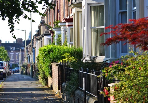 Brisk Start In 2021 Housing Market