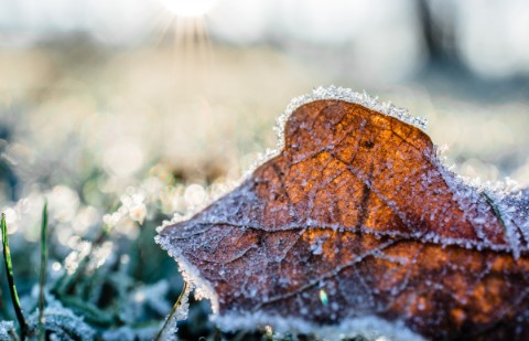 6 Top Tips for Gardening During The Winter Months