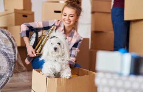 Moving Home with Pets - How to Help Your Furry Friends Settle in