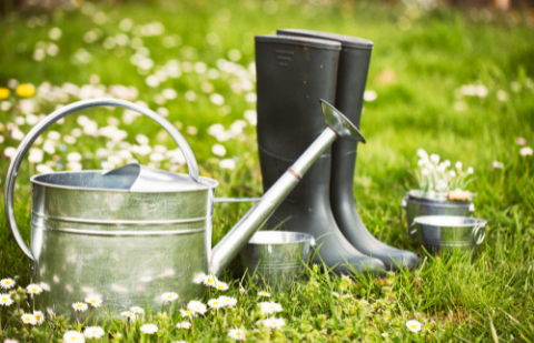 5 Spring Gardening Tips For Homeowners