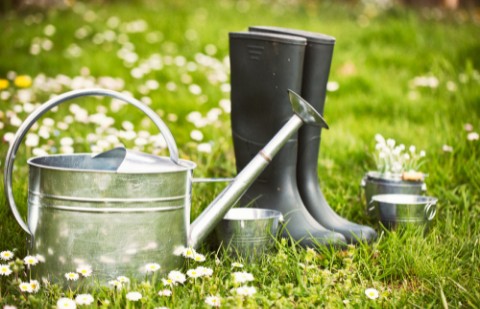 5 Spring Gardening Tips For Homeowners