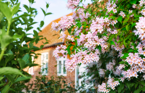 Summer Maintenance You Should be Doing in Your Home & Garden