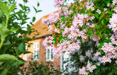 Summer Maintenance You Should be Doing in Your Home & Garden