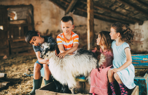 4 of the Best Free Parks & Attractions in Nottinghamshire