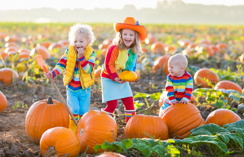 Fun Halloween Ideas for the Whole Family